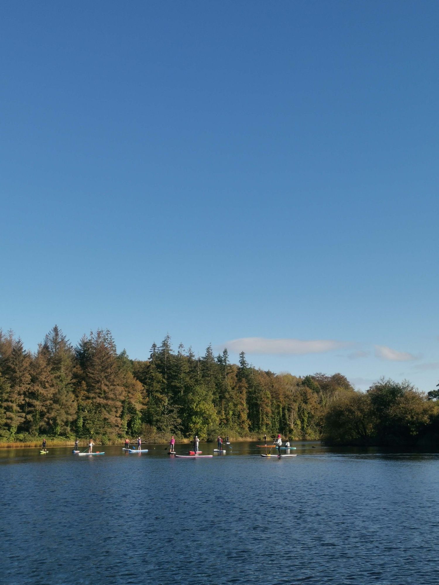 Finnebrogue Woods paddle boarding