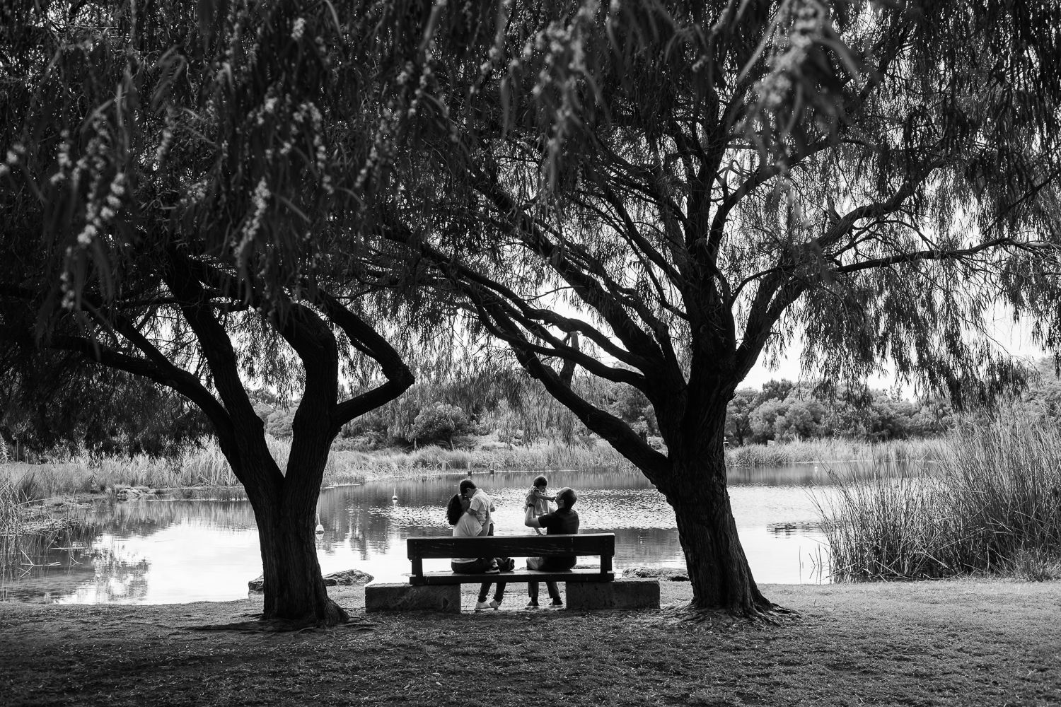 Silhouette of people sitting on bench between two trees by a lake.