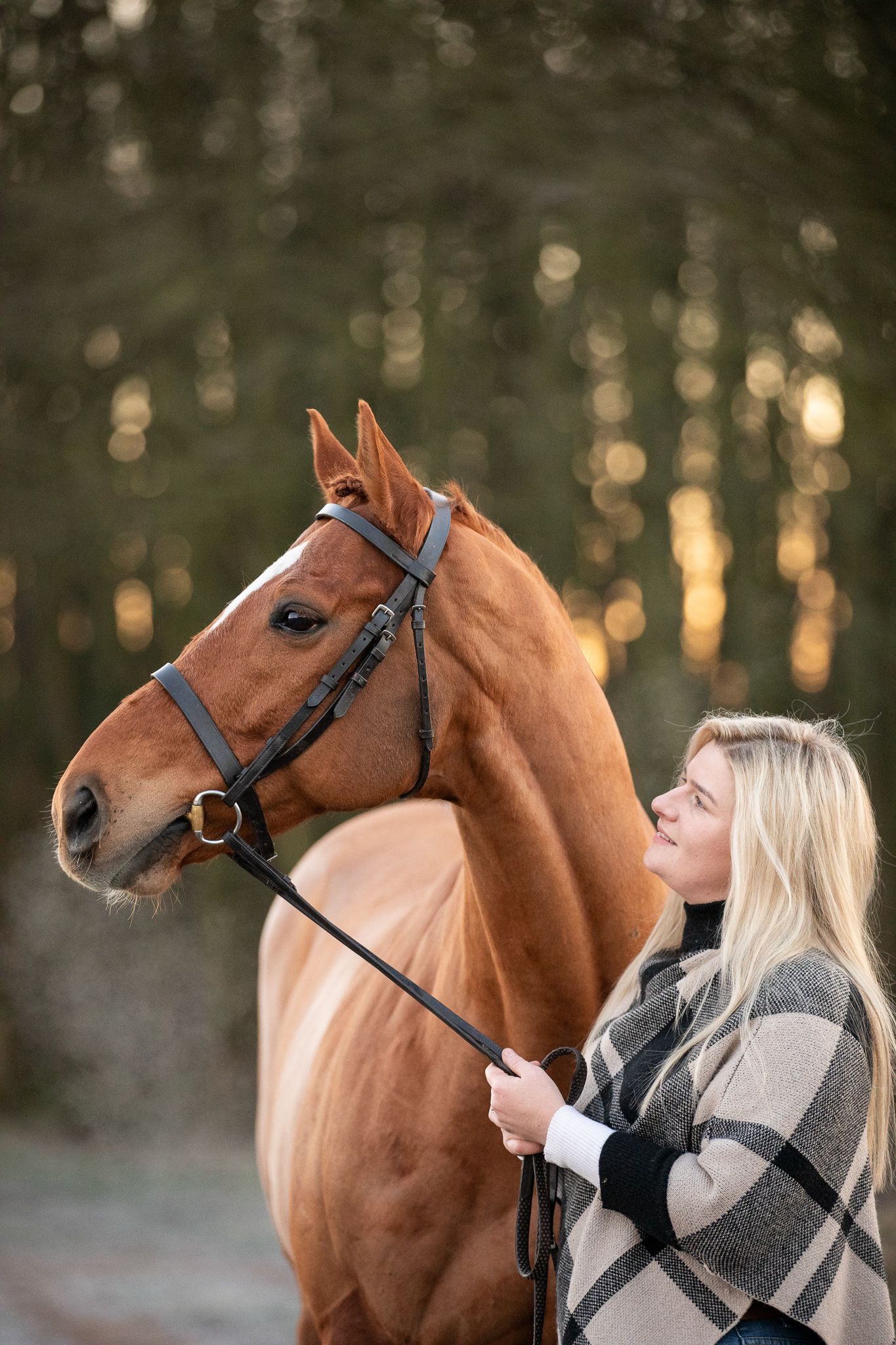 A chestnut horse with bridle stands close while someone in a plaid coat holds the reins.