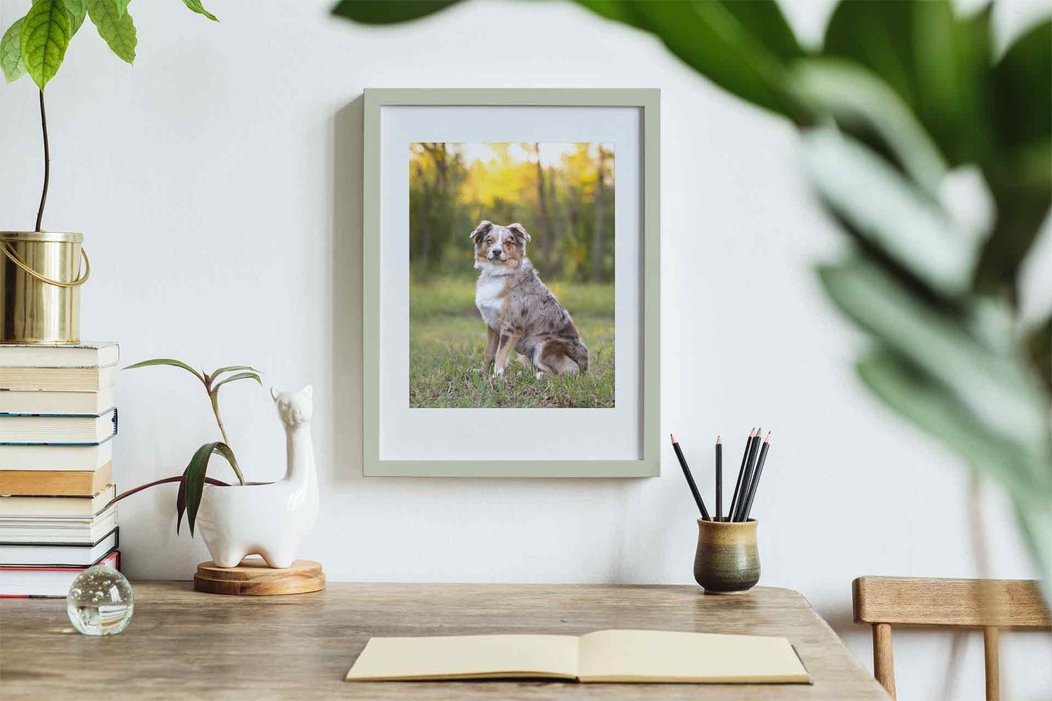 portrait of beloved dog over home office desk Kelly J. Russo Photography