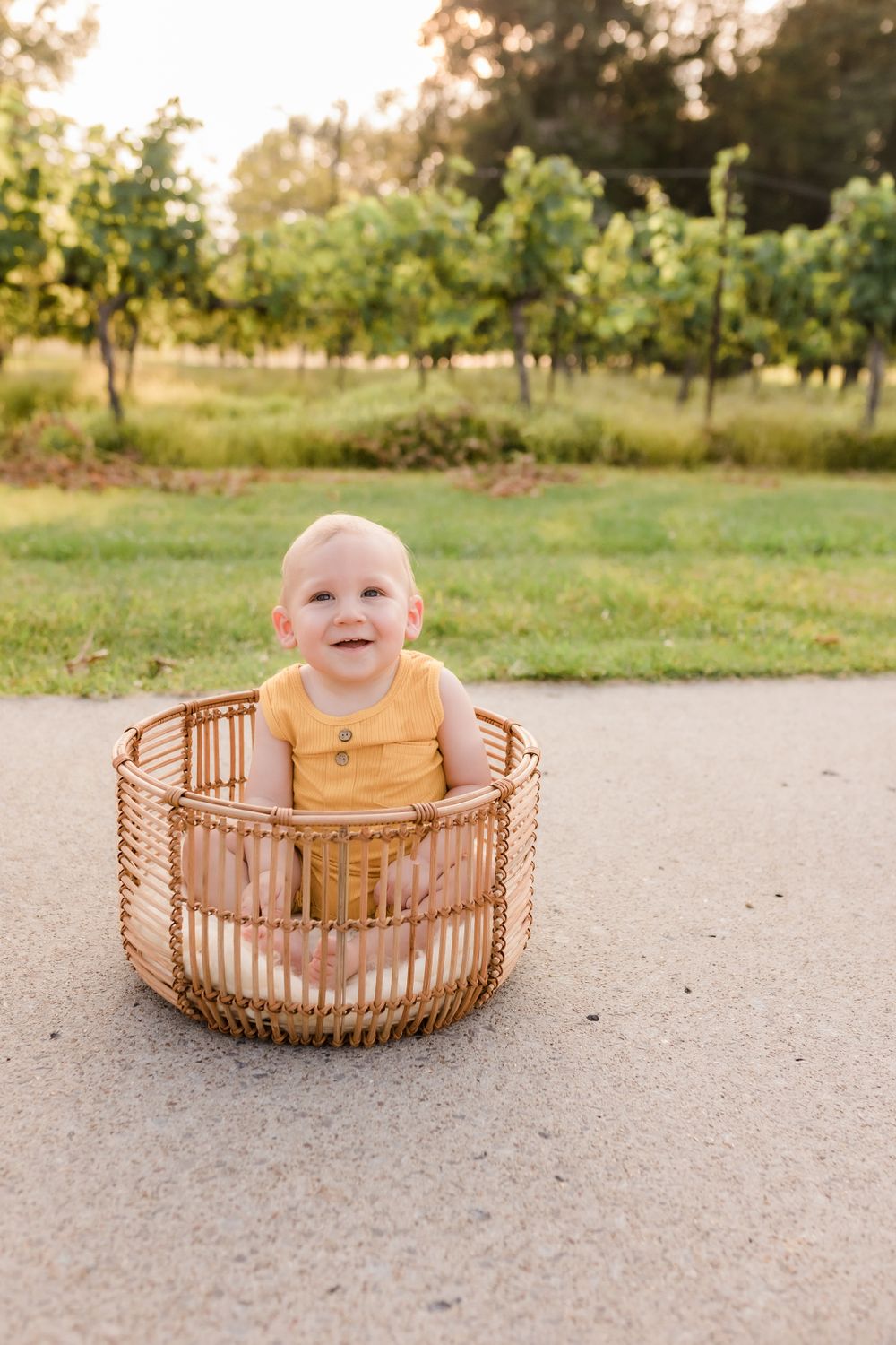 Happy baby in yellow romper sitting in wicker basket at vineyard during golden hour.