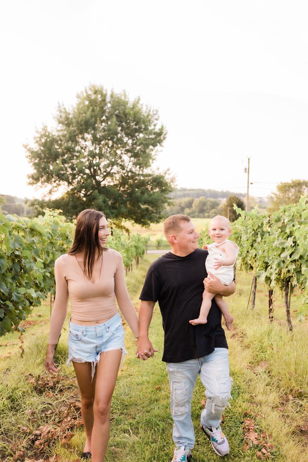Young family walking hand in hand through vineyard rows with father holding baby.