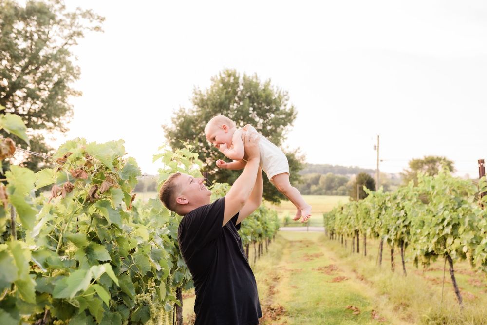 Joyful father lifting laughing baby high in the air in sunny vineyard setting.
