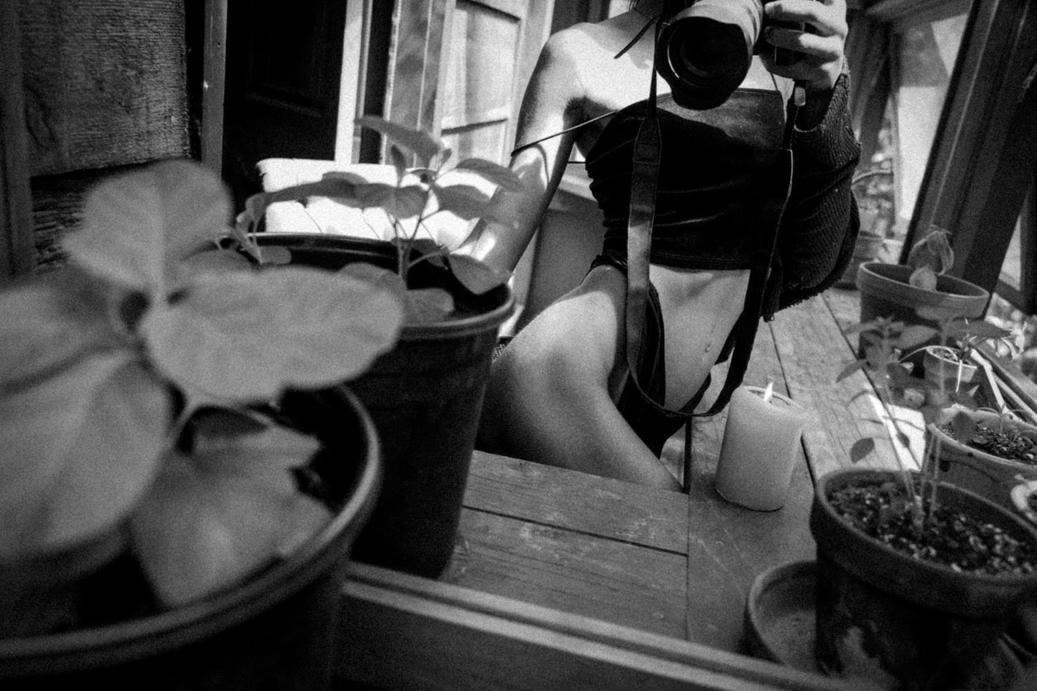 Black and white view of plants by a window with filtered sunlight.