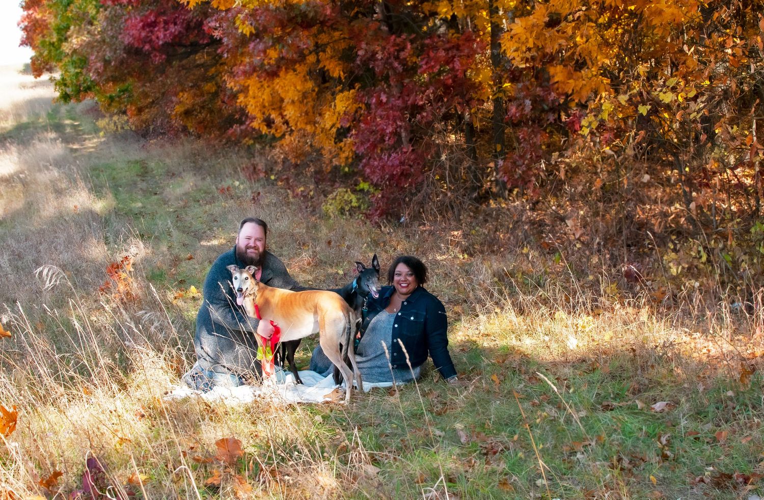 man and women with pair of greyhounds in an autumn outdoor setting