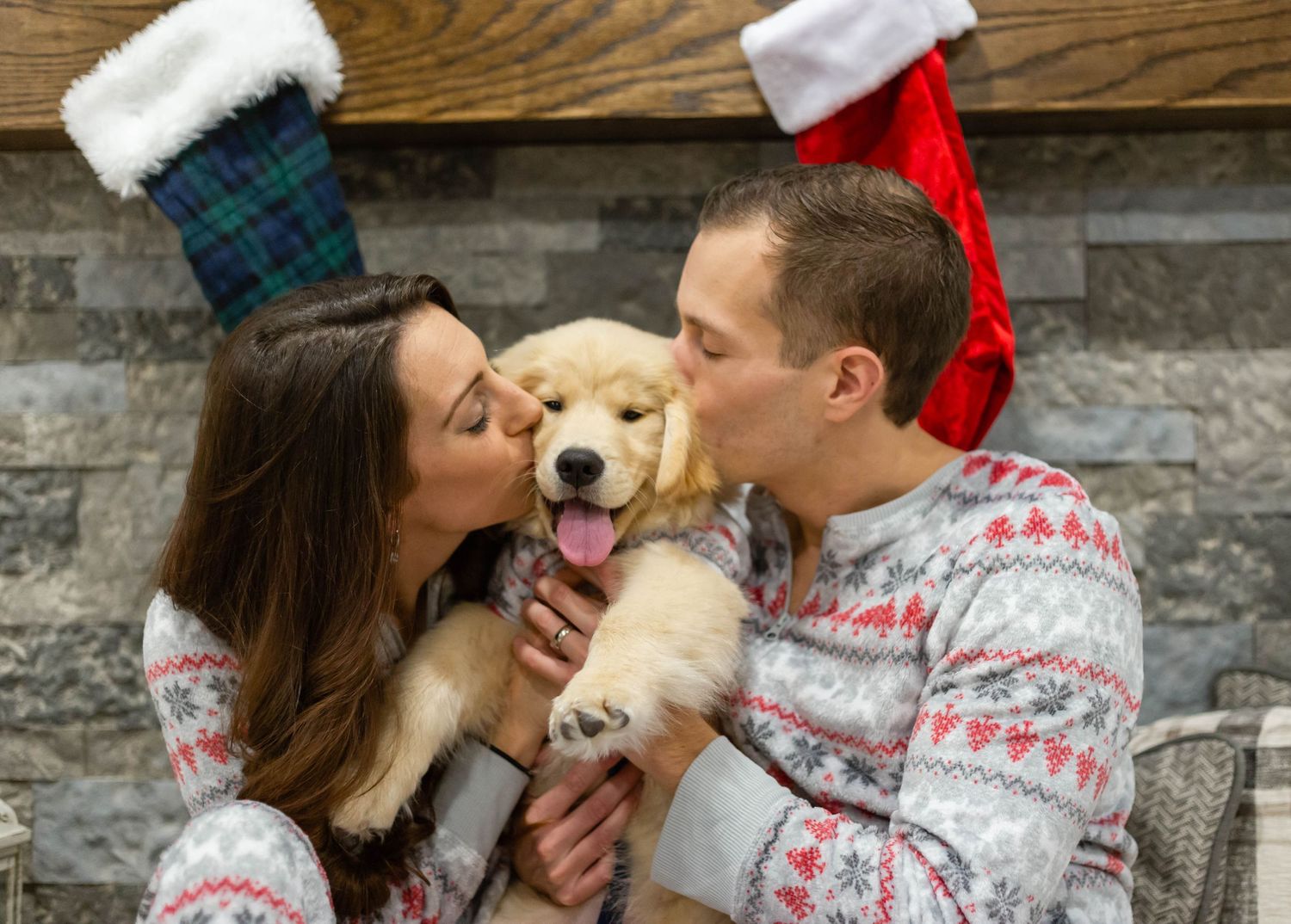 a dog at a family photo session