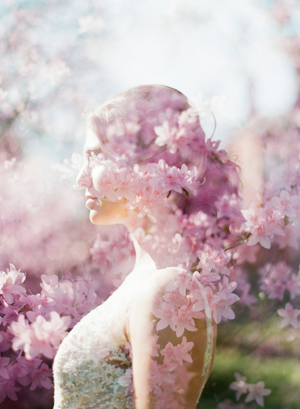 Dreamy spring portrait with soft pink cherry blossoms creating an ethereal double exposure effect.