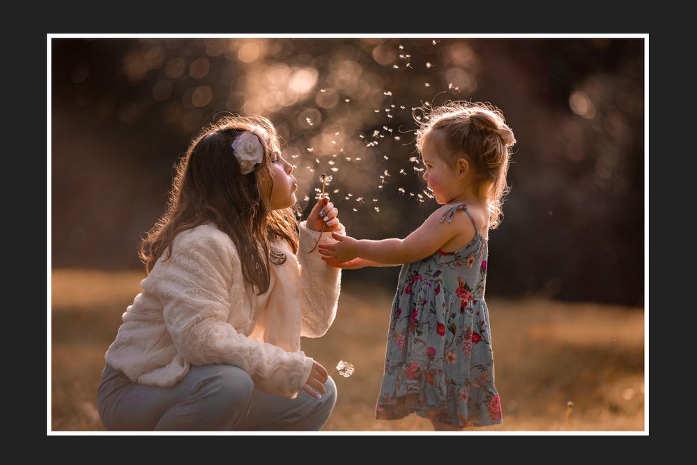Two people blowing dandelion seeds in golden sunset light.