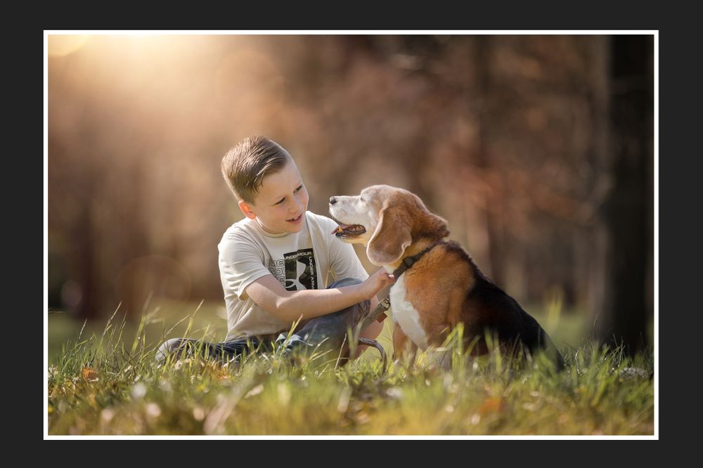 A young person and beagle dog share an affectionate moment in sunlit grass.