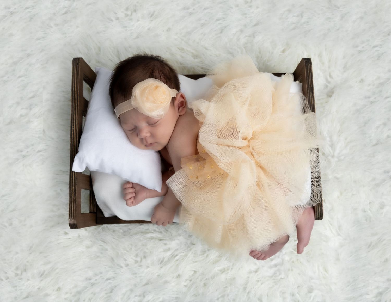 Newborn photography Denver