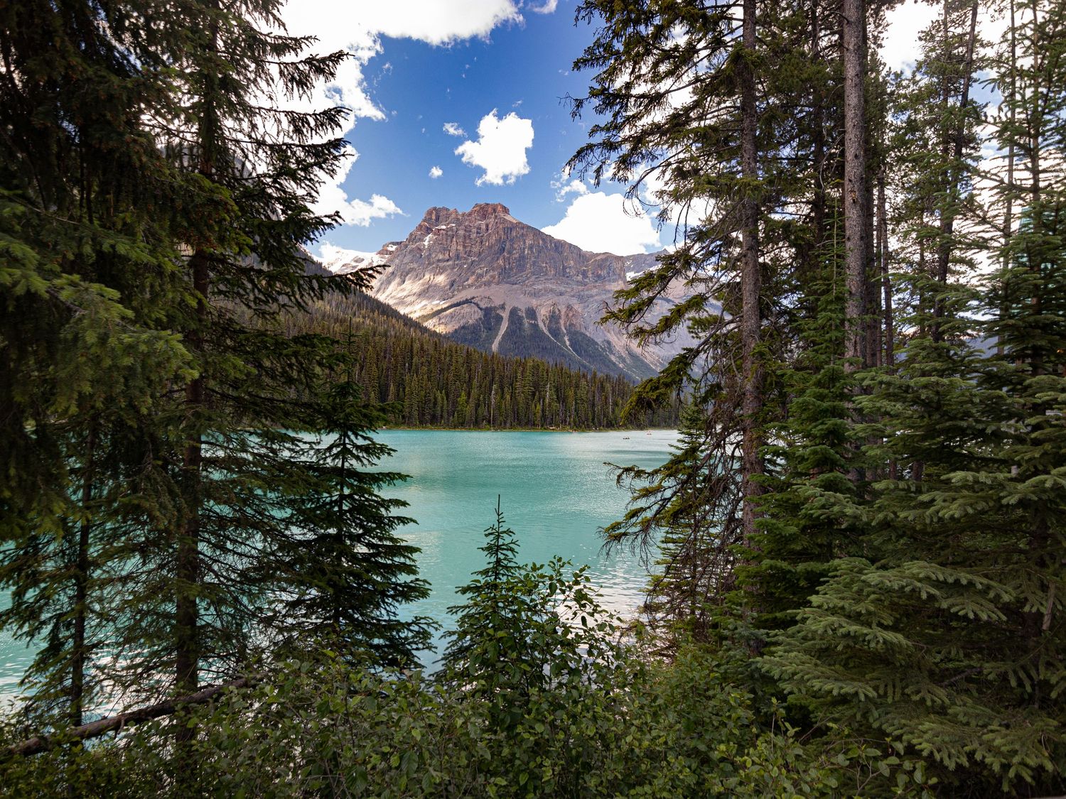 Emerald lake in Alberta, Canada where you can see a beautiful mountain in the back