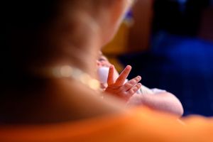 Artistic macro photography with warm orange tones and soft focus.