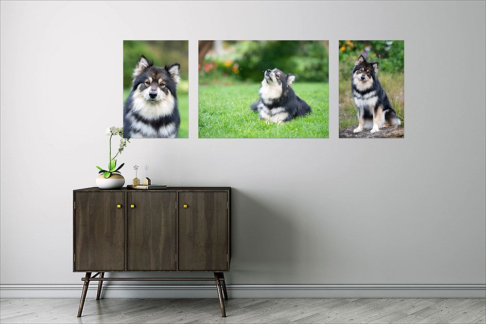 design of photo art in your hallway by Helen Green Geelong