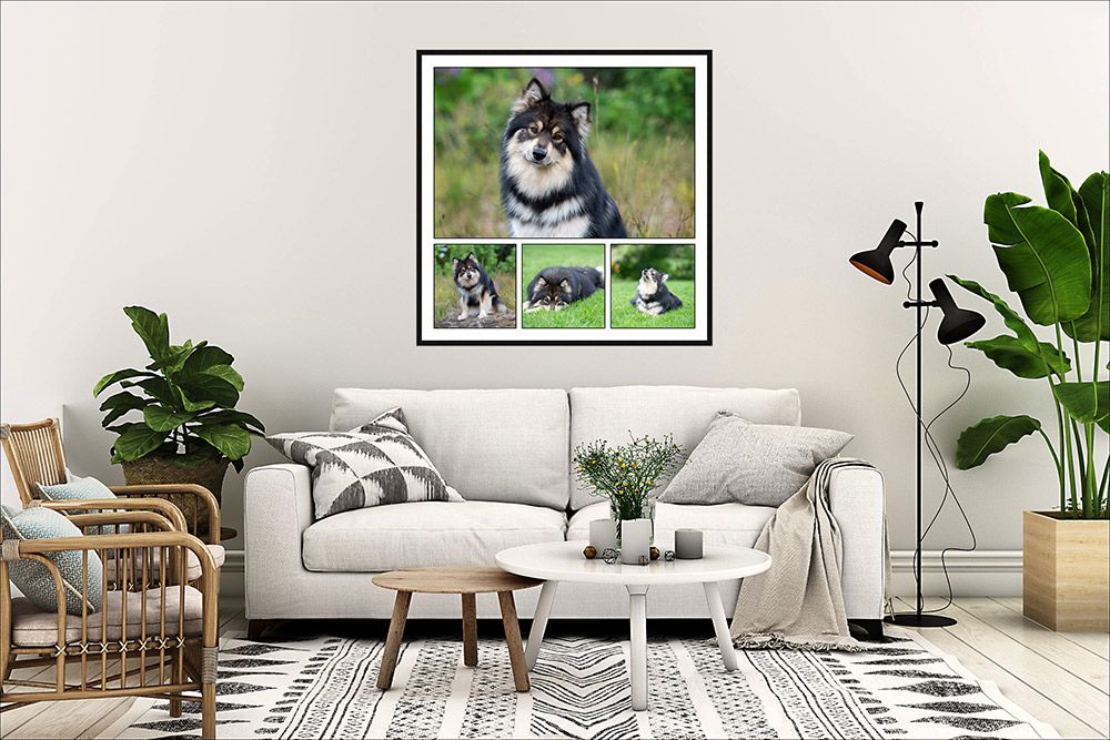 Dog artwork display for living area by Helen Green Photography Geelong
