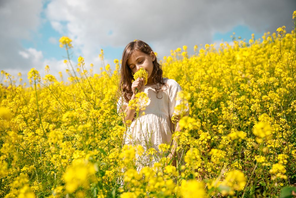 A girl smells a flower in a field full of yellow flowers