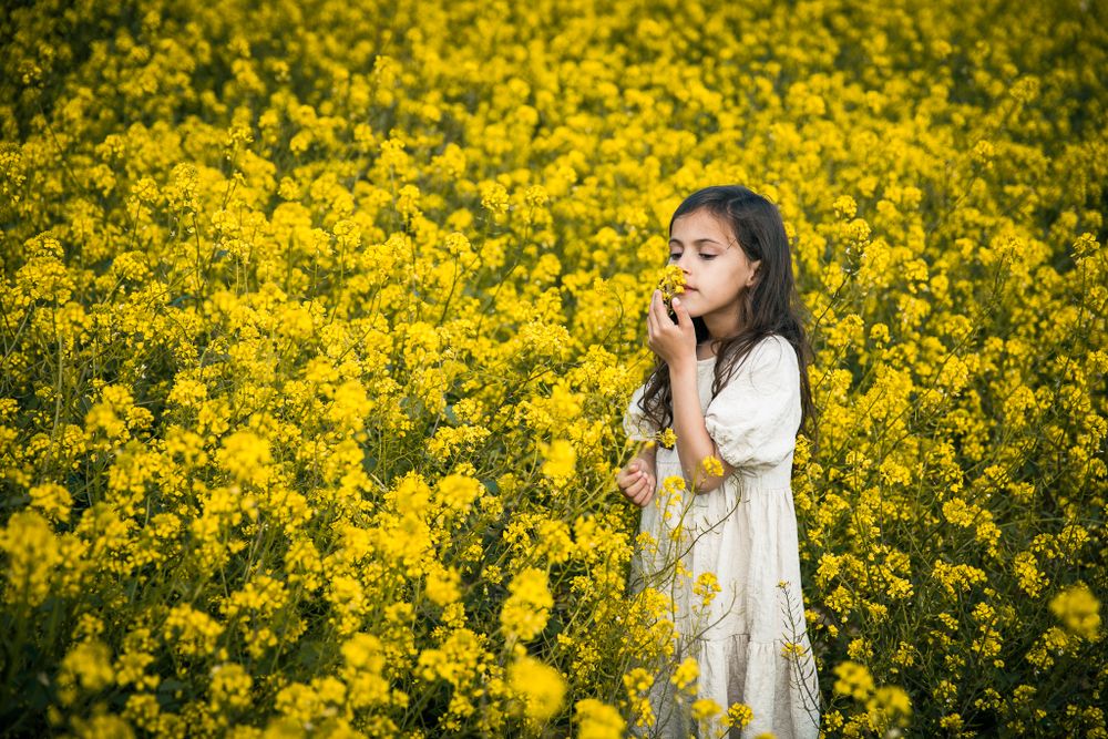 A girl smells a flower in a field full of yellow flowers