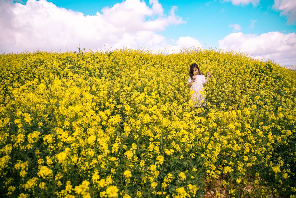 A girl walks in a field full of yellow flowers