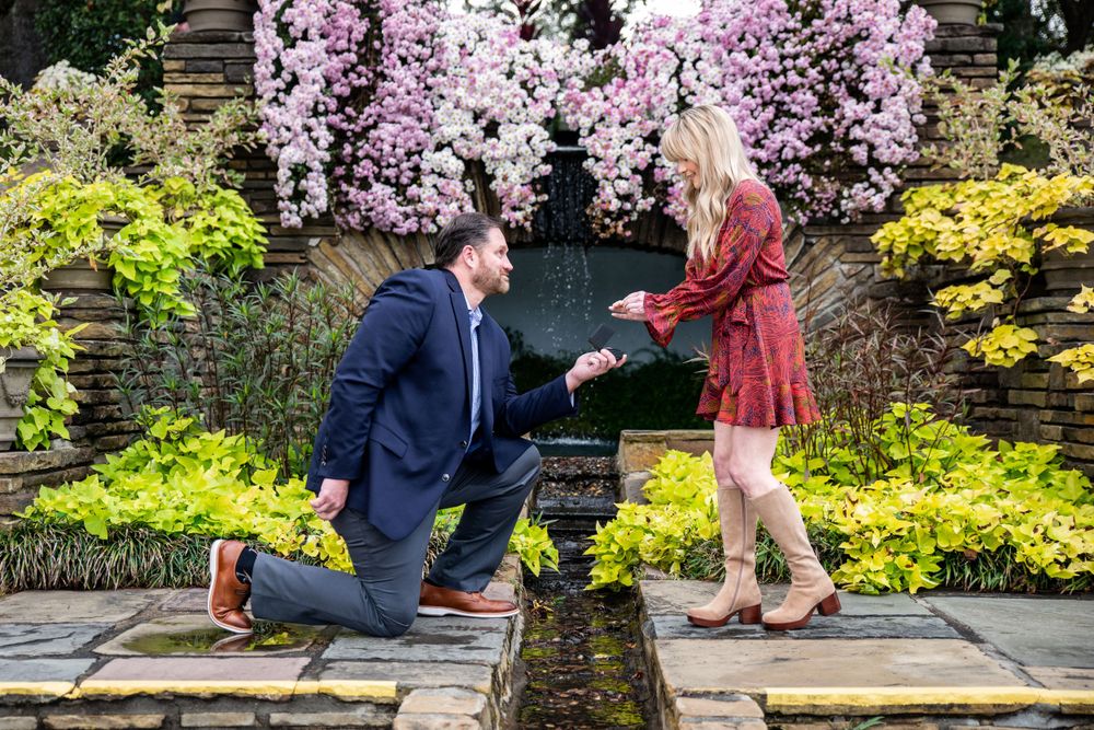 Surprise proposal at Bellingrath Gardens