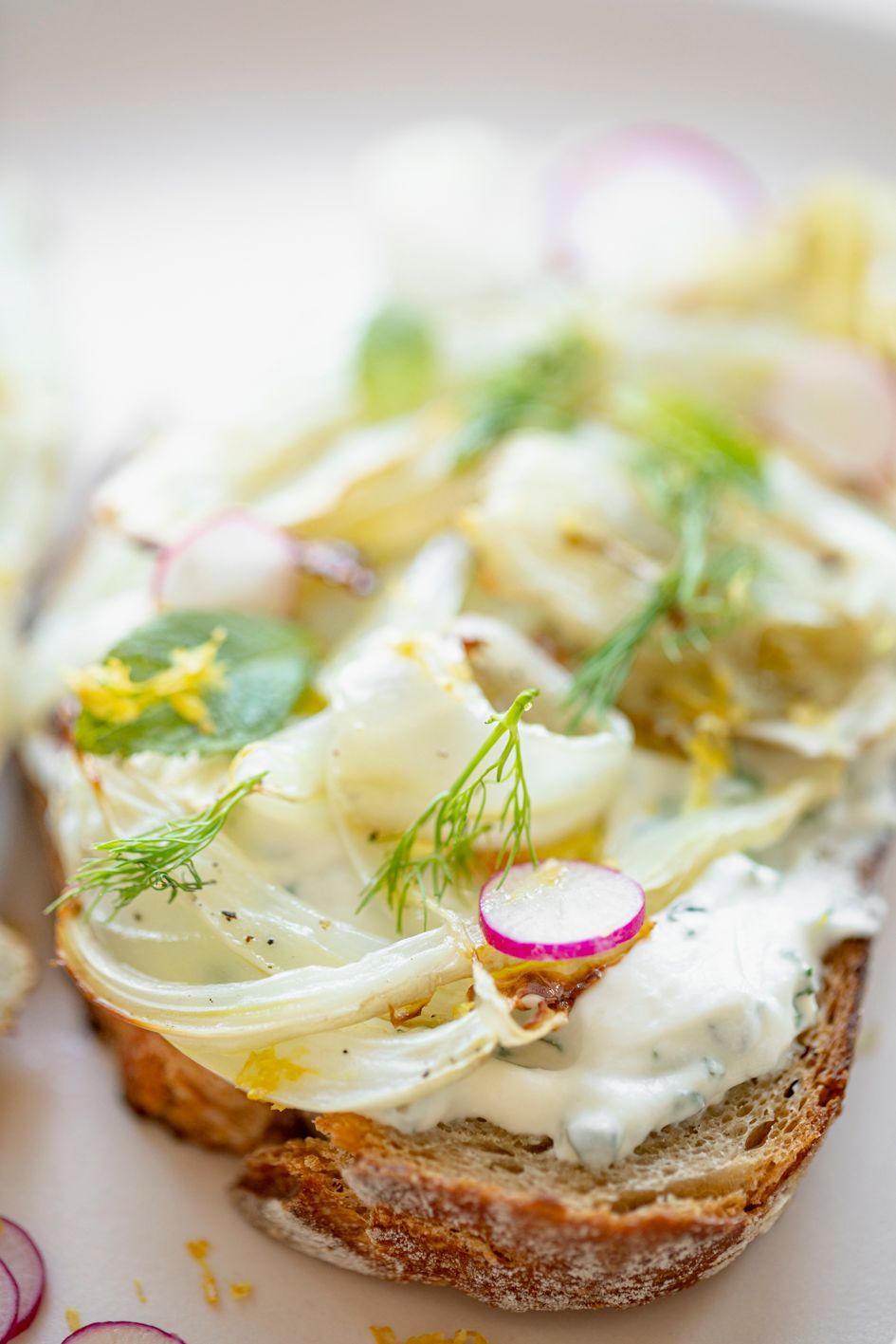 Artisanal toast topped with whipped spread, shaved fennel, herbs and thinly sliced radishes.