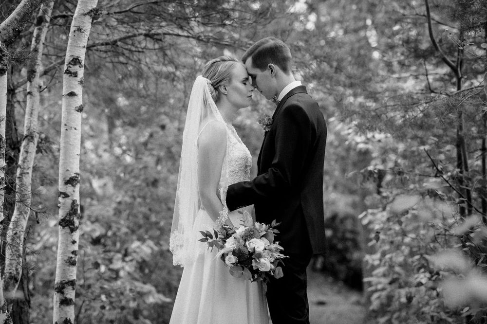An intimate wedding moment captured in black and white among birch trees.