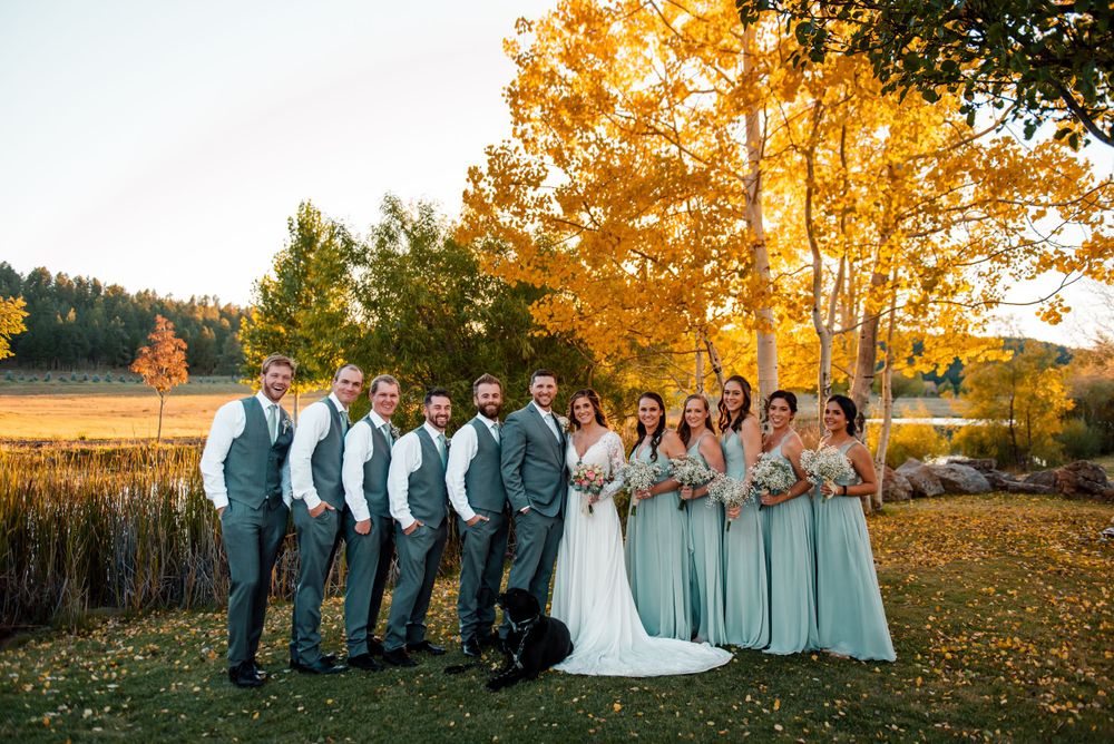 Wedding party lineup at sunset with golden aspen trees in the background.