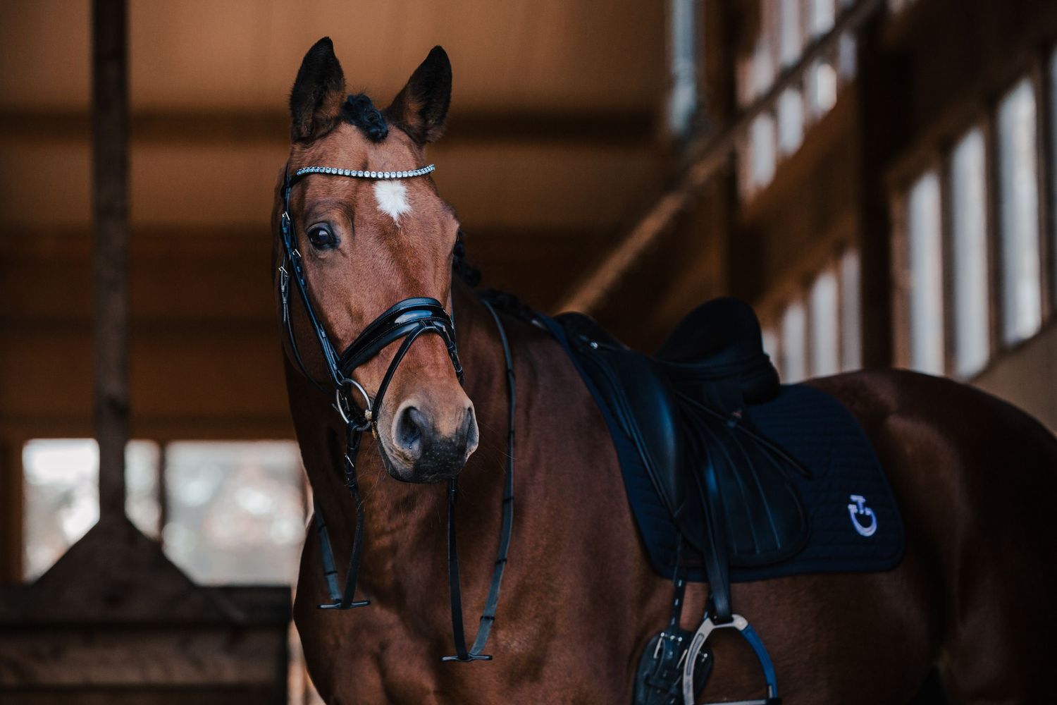 Brown horses in a rustic stable with light streaming through windows creating a moody atmosphere.