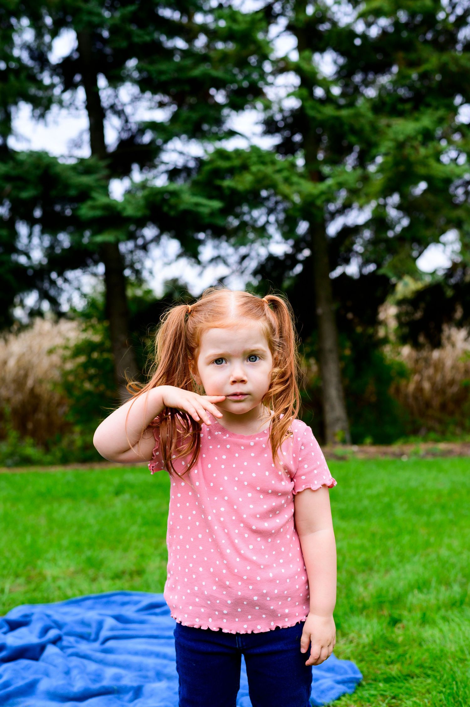 Spirits Intrigued Photography Lifestyle Pricing Family Shoot Kitchener Waterloo London 2022