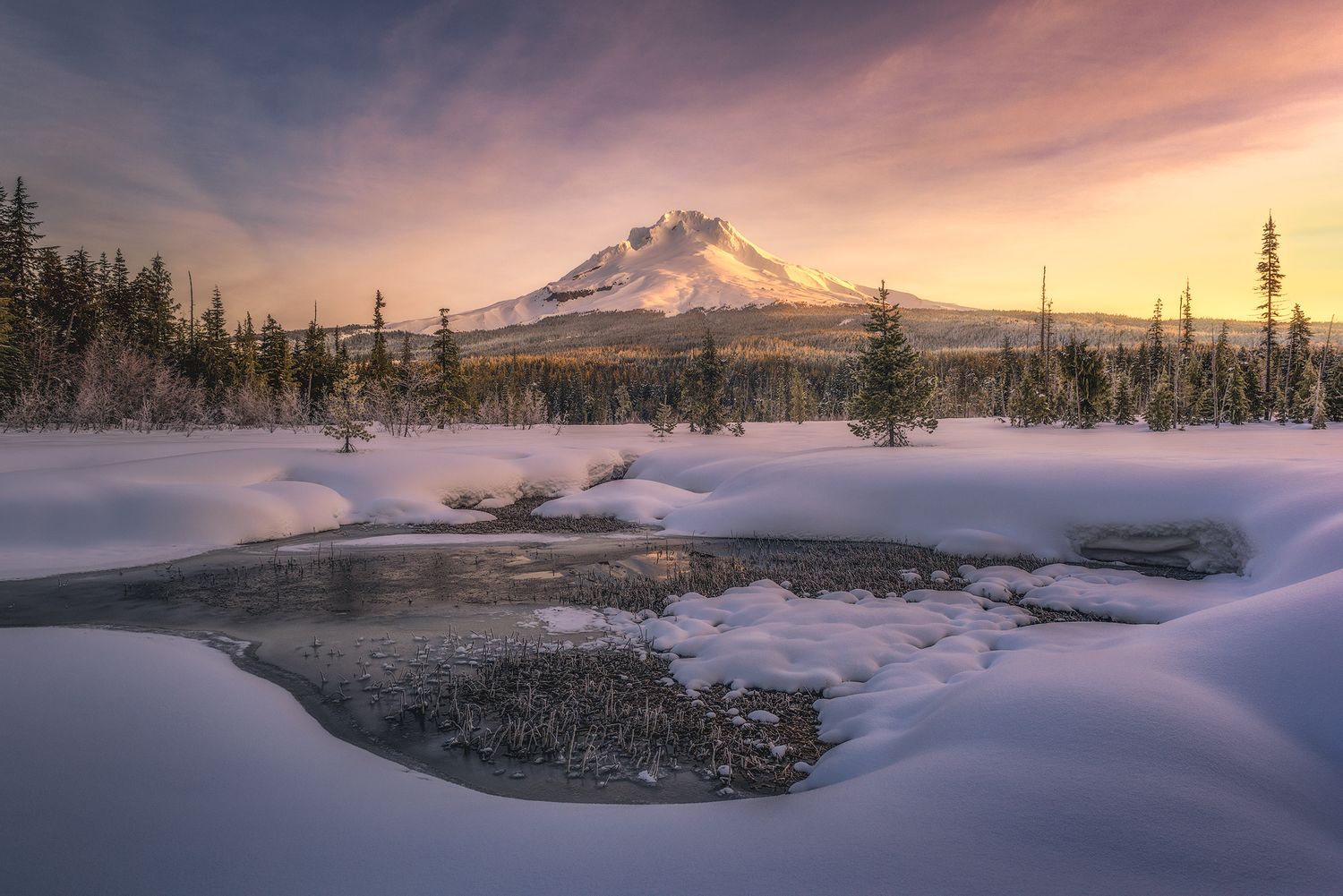 Mt. Hood Meadows in Oregon
