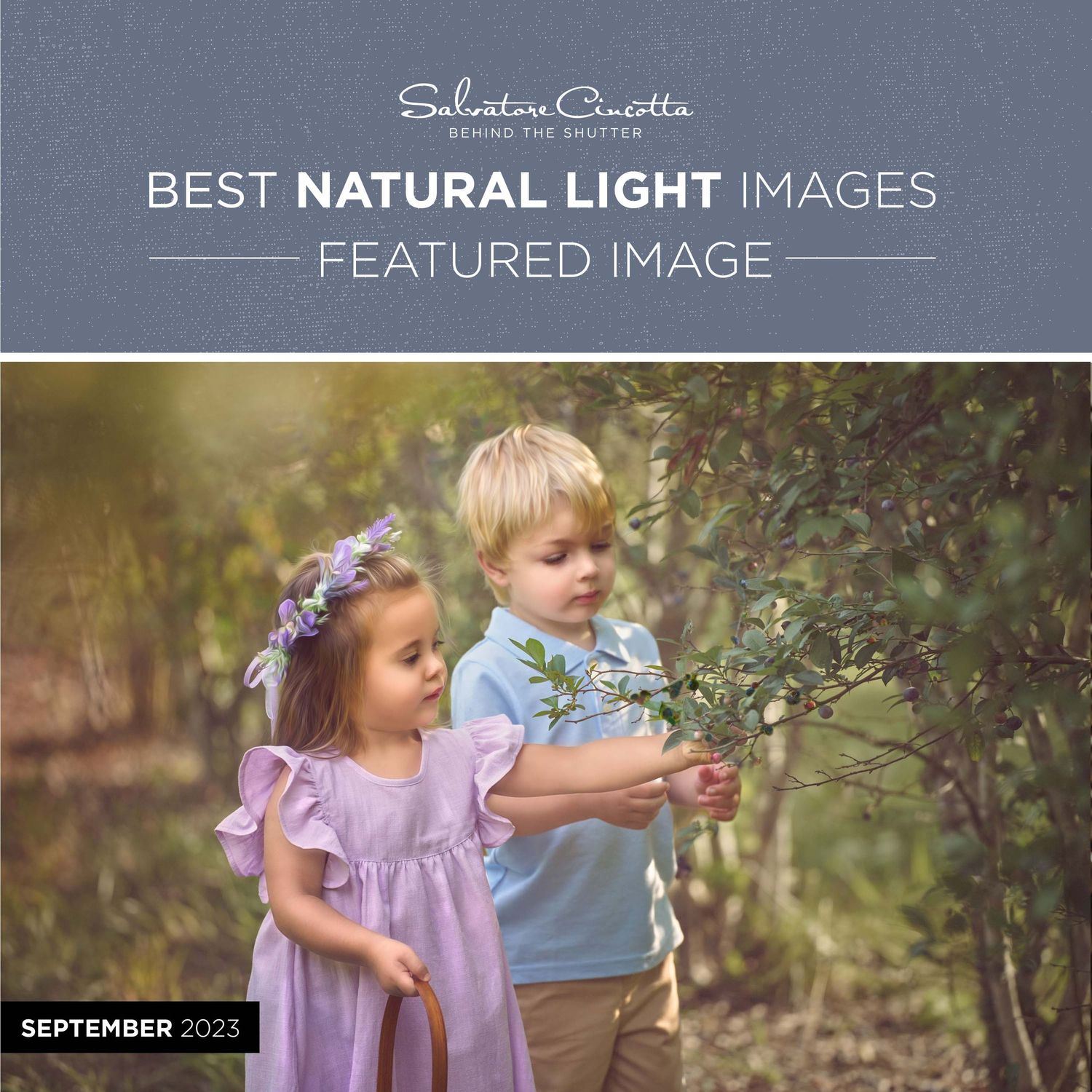 Toddler-boy-and-girl-reaching-for-blueberries-in-a-bush