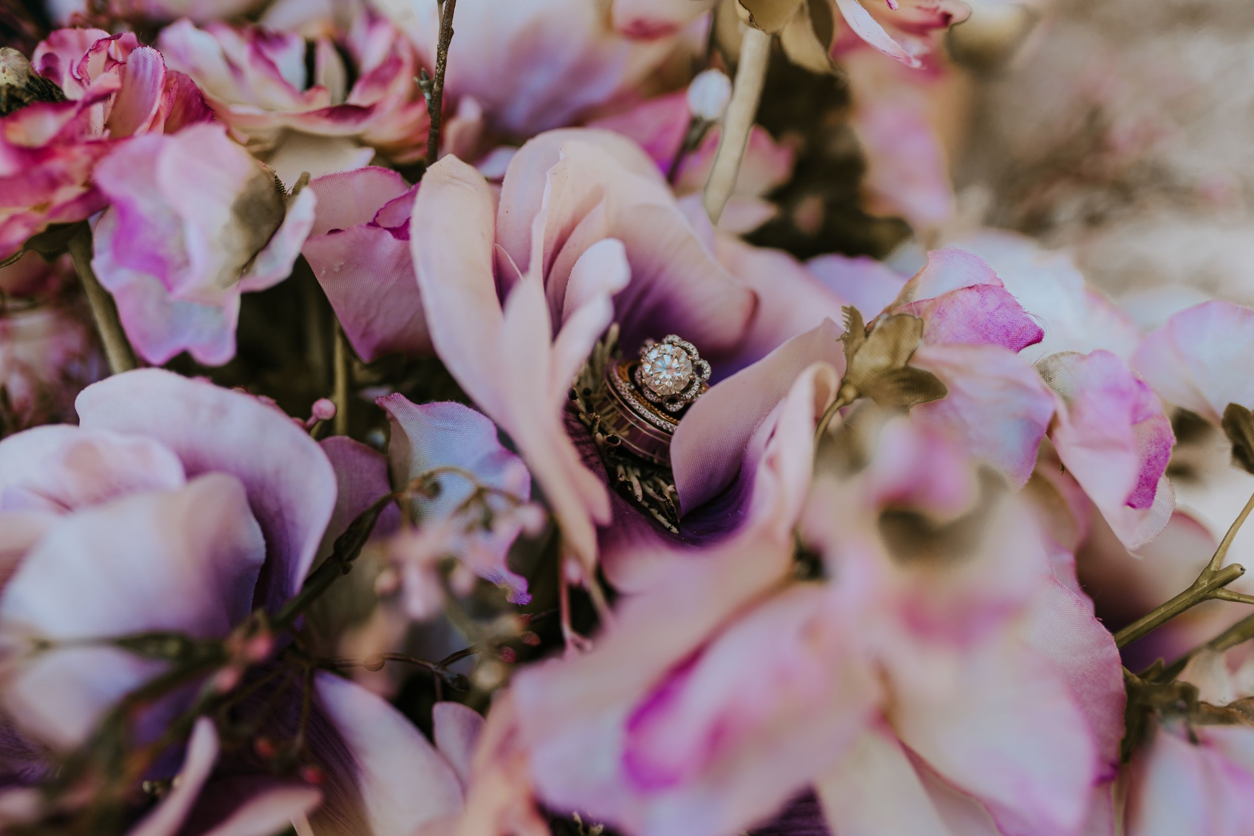 Engagement ring nestled among pink flower petals in macro shot.