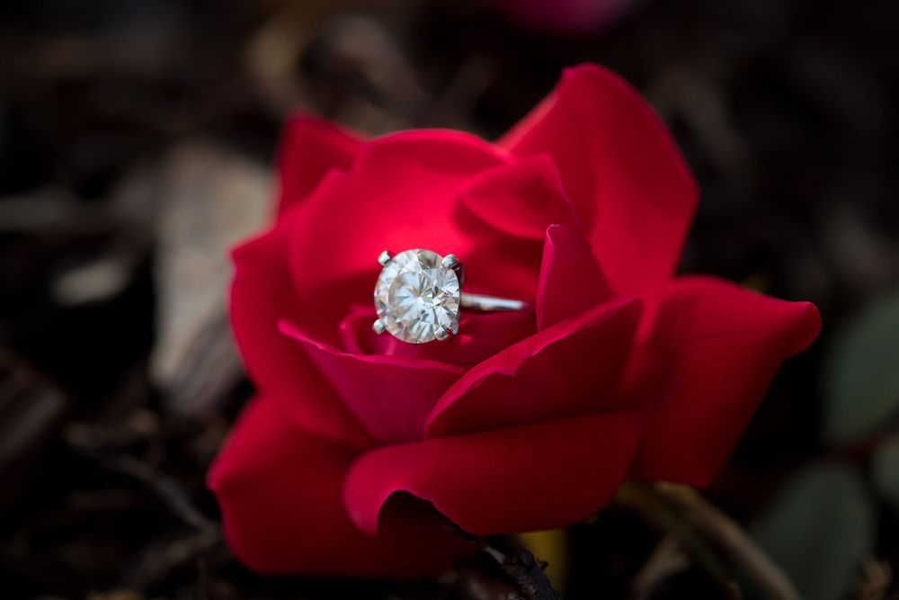 Sparkling diamond engagement ring nestled in red rose petals.