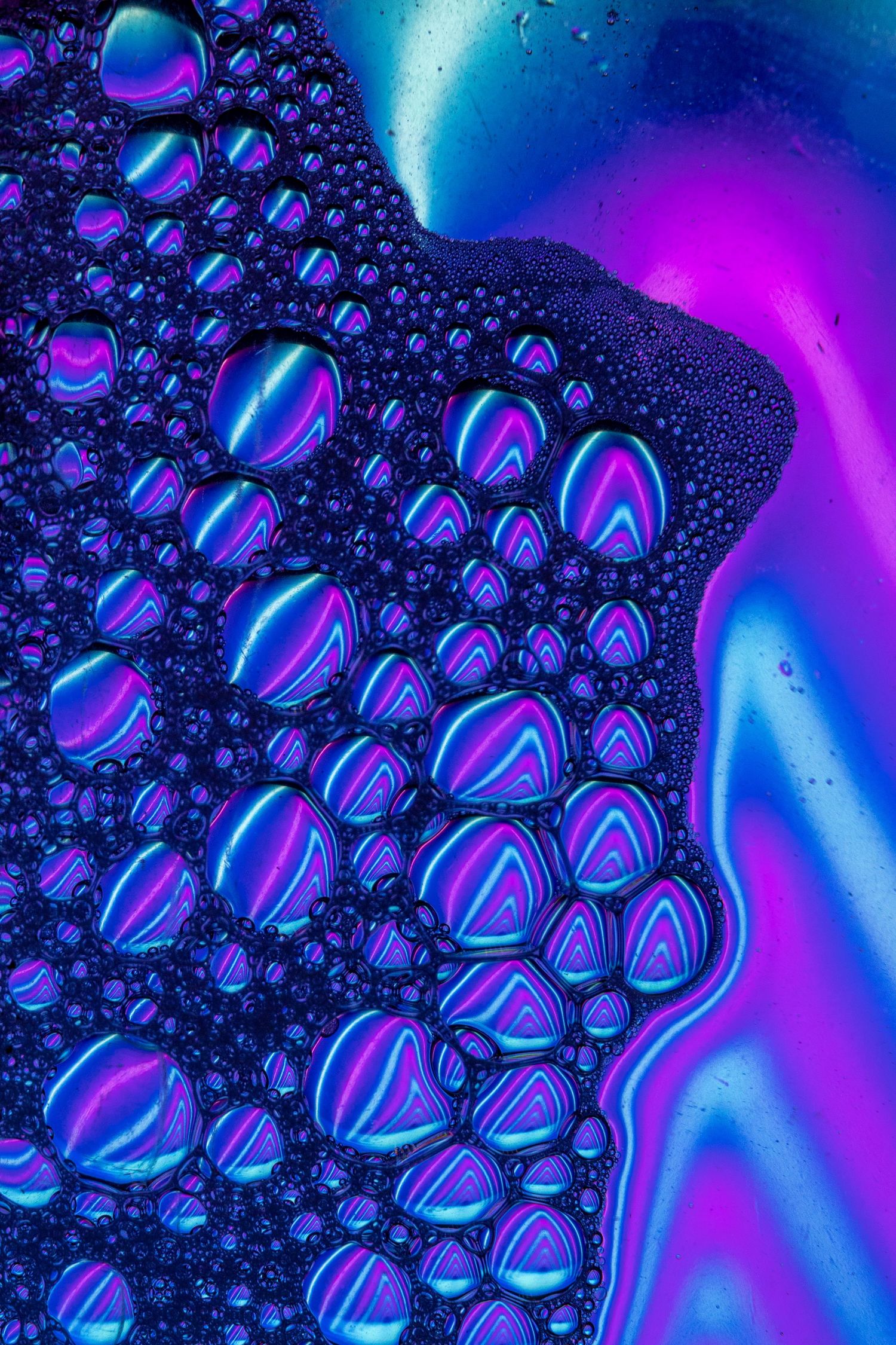 Vivid oil bubbles reflect waves of neon light, forming a mesmerising pattern of colour and contrast.