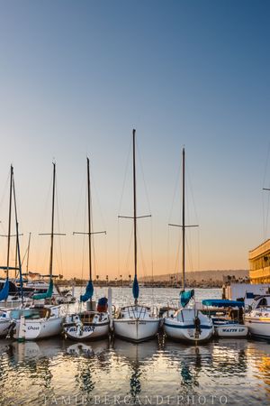 Sailboats moored at a marina during golden sunset with calm water reflections.