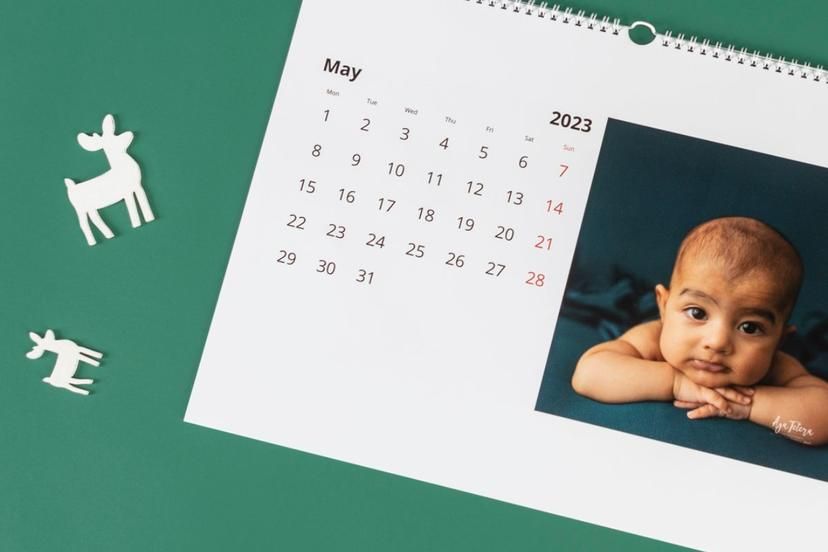 May 2023 wall calendar page with photo displayed on green background.
