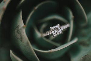 Sparkling diamond engagement ring centered in green succulent leaves creating natural frame.