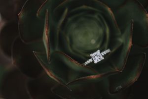 Diamond engagement ring nestled in dark green succulent petals with moody lighting.