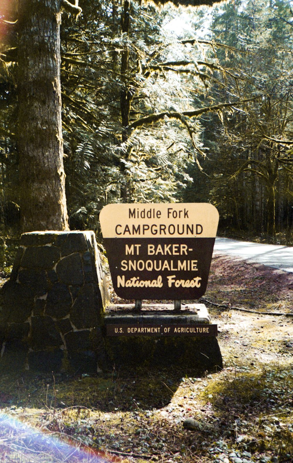 Shot on 35mm film