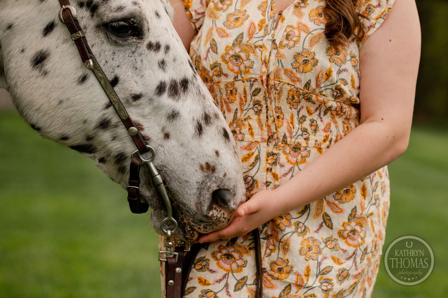 Close-up of a spotted white horse's face being petted by someone in a floral dress.