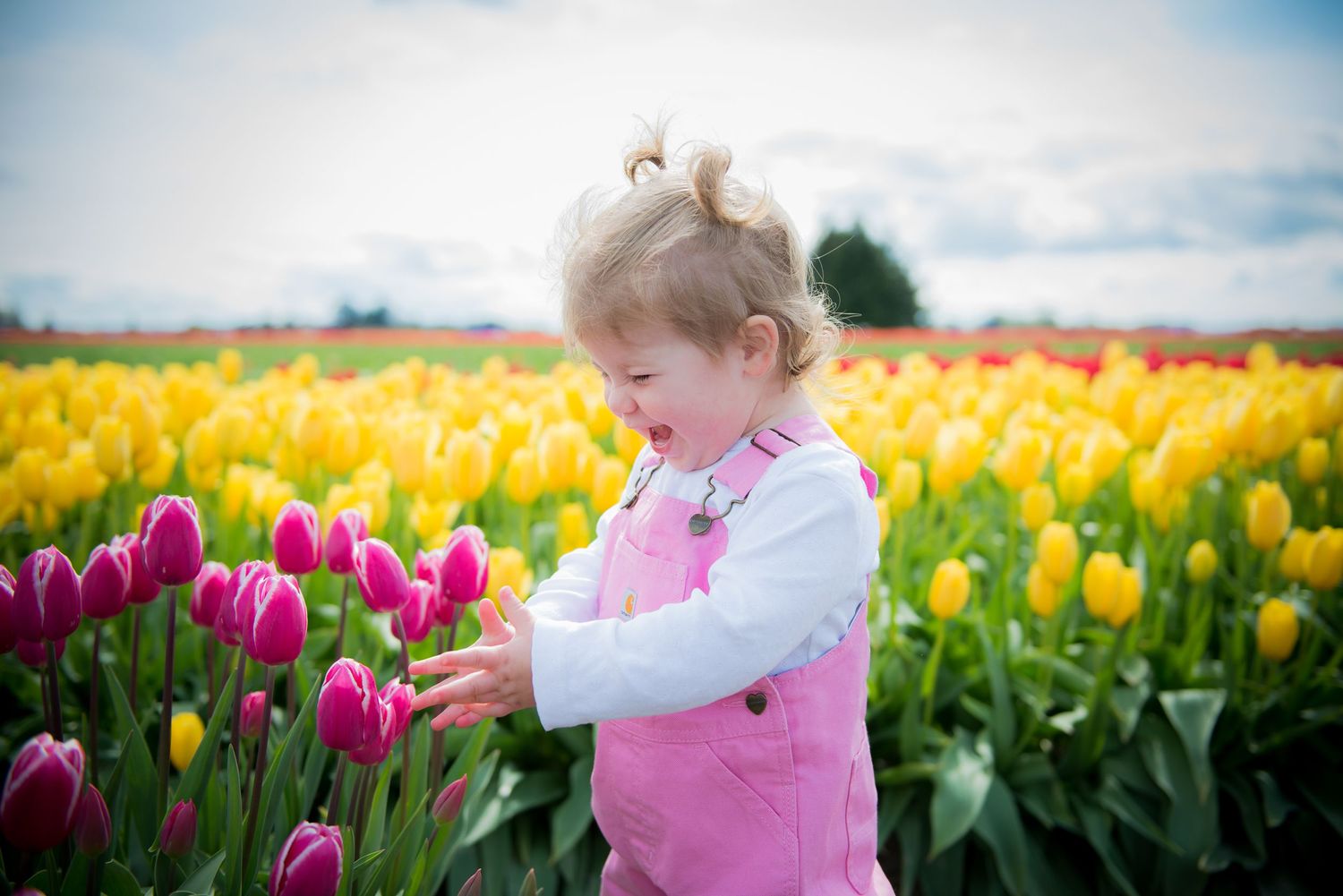 Charlotte Ann Photography - Children's Portrait Photography. Pacific Northwest Photographer. Forks, Washington Photographer.