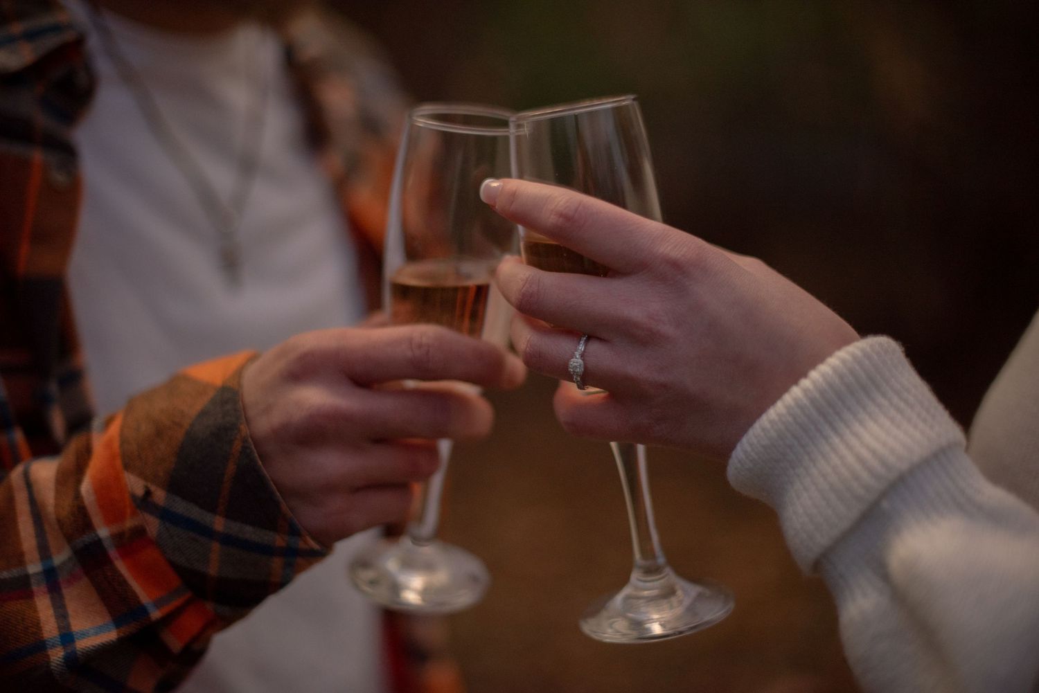 Engagement Session