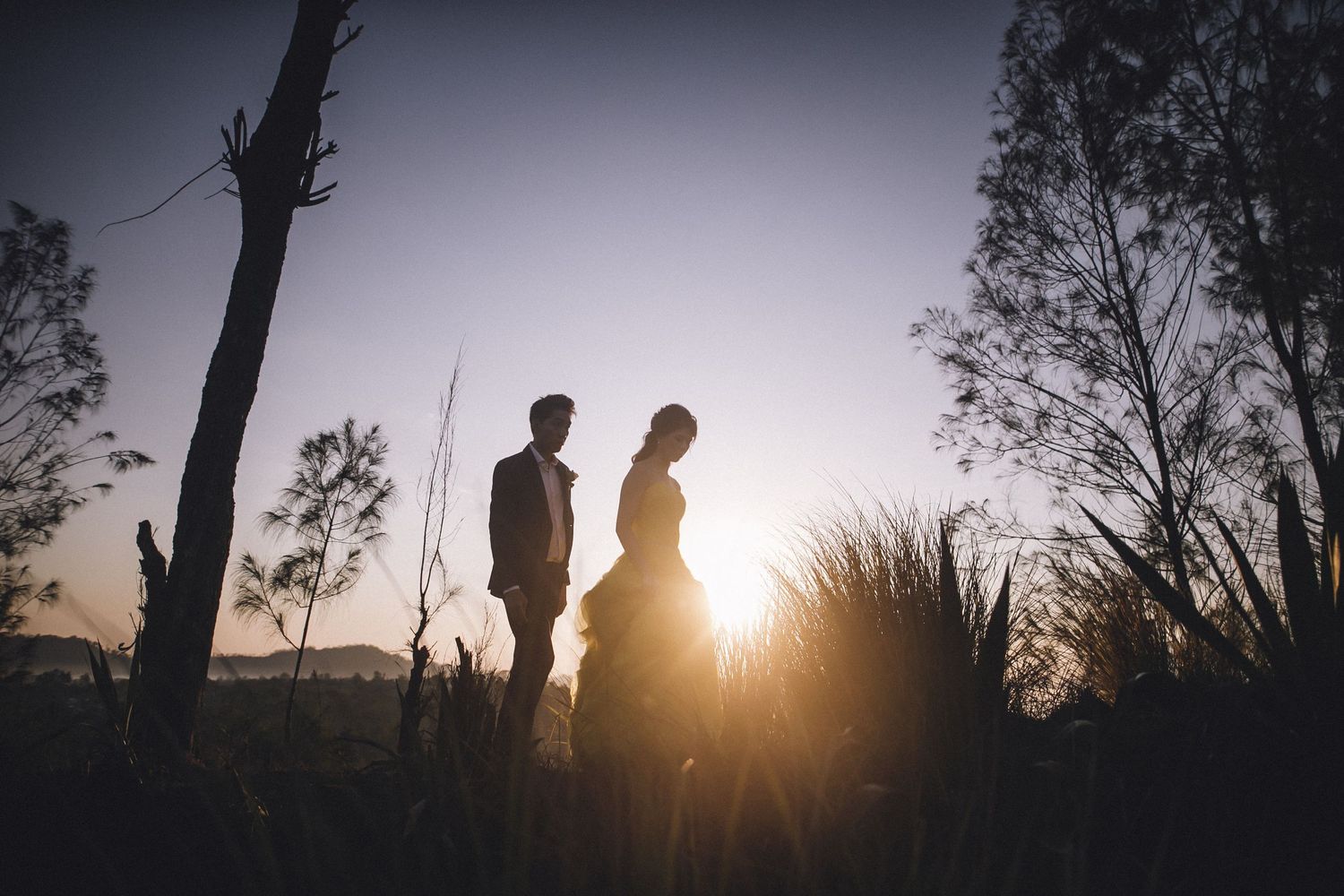 Backlit figures standing on hilltop during sunset with trees in silhouette.