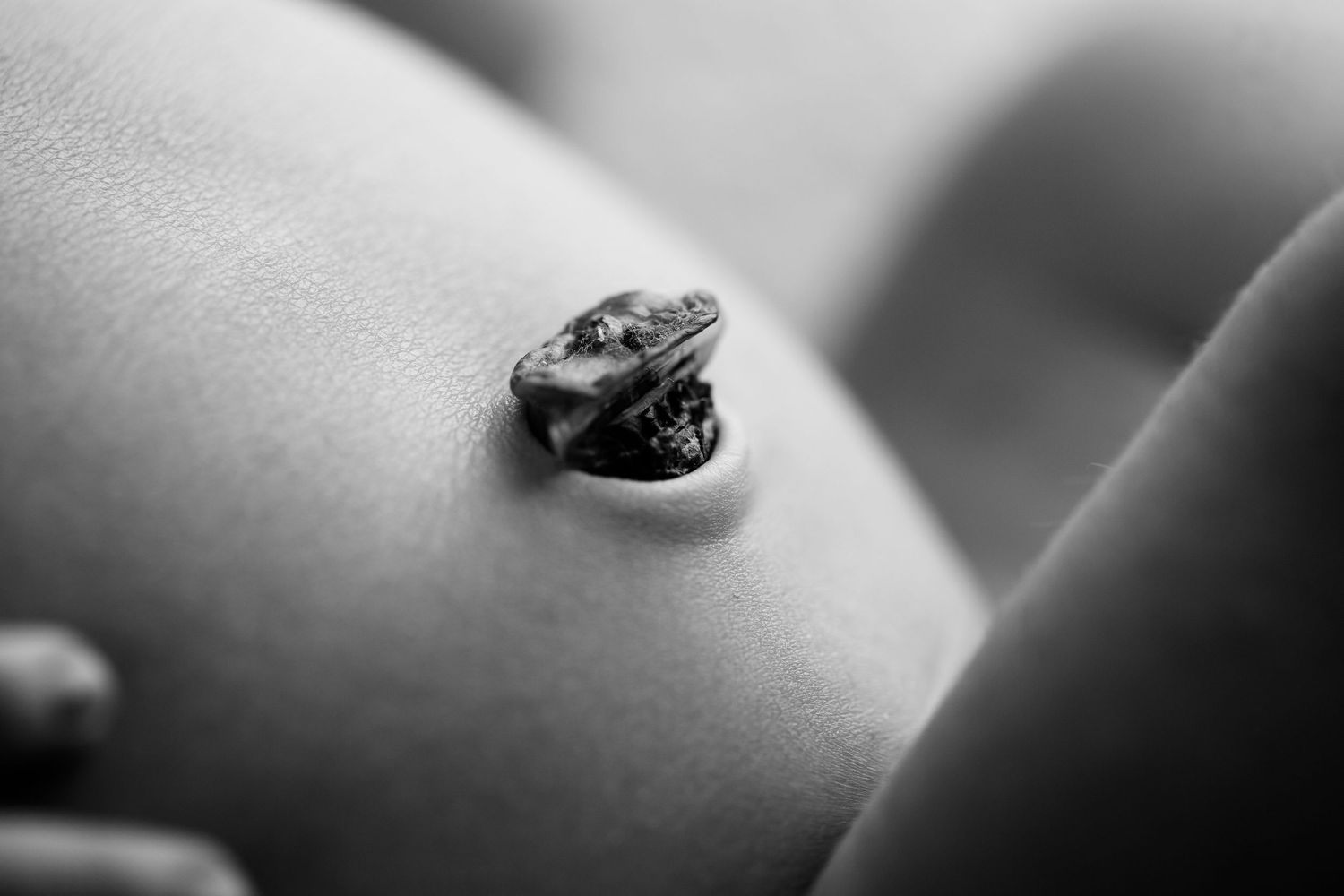 Newborn baby boy's close up of umbilical cord stump.