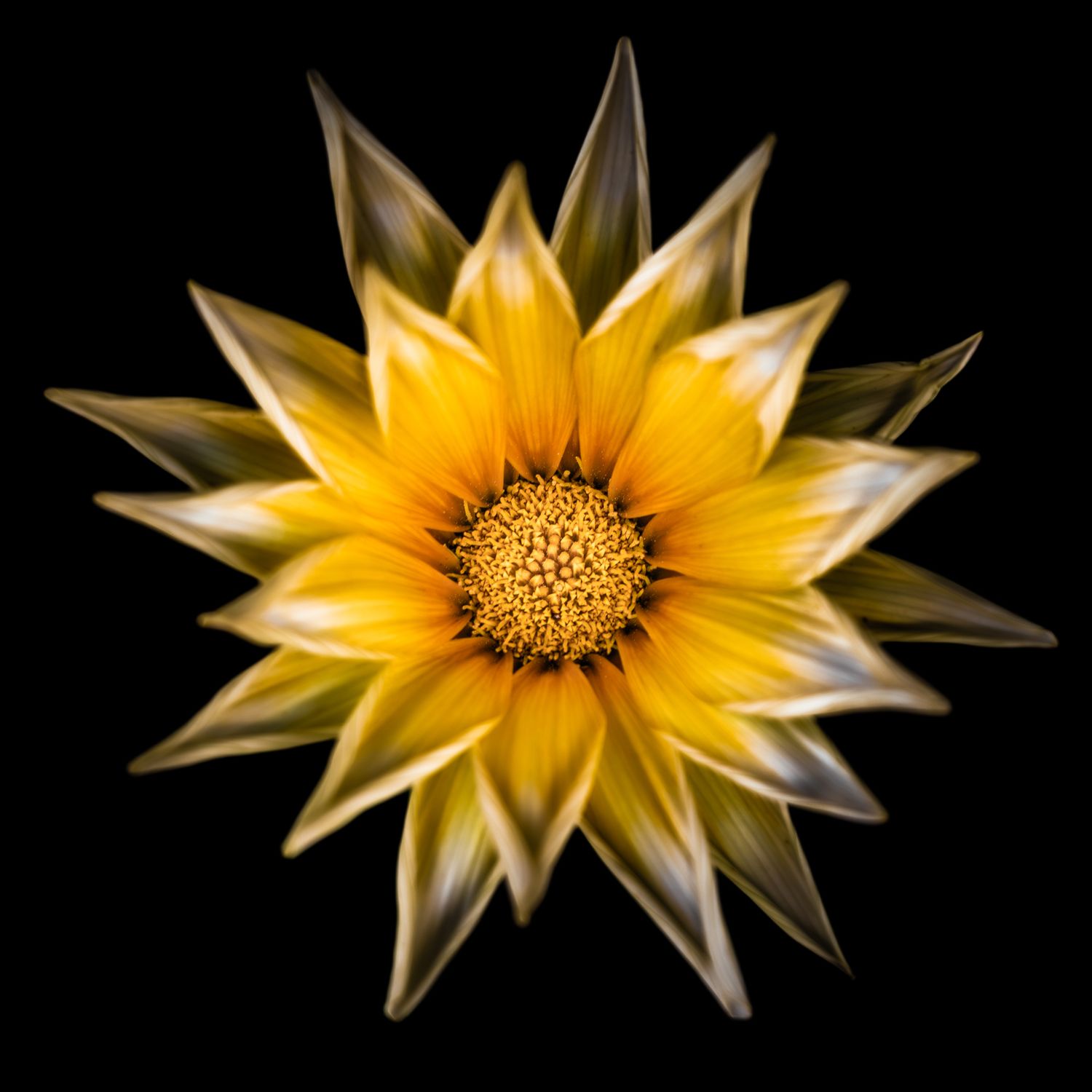 John Peters Photography