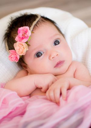 newborn photoraphy feilding