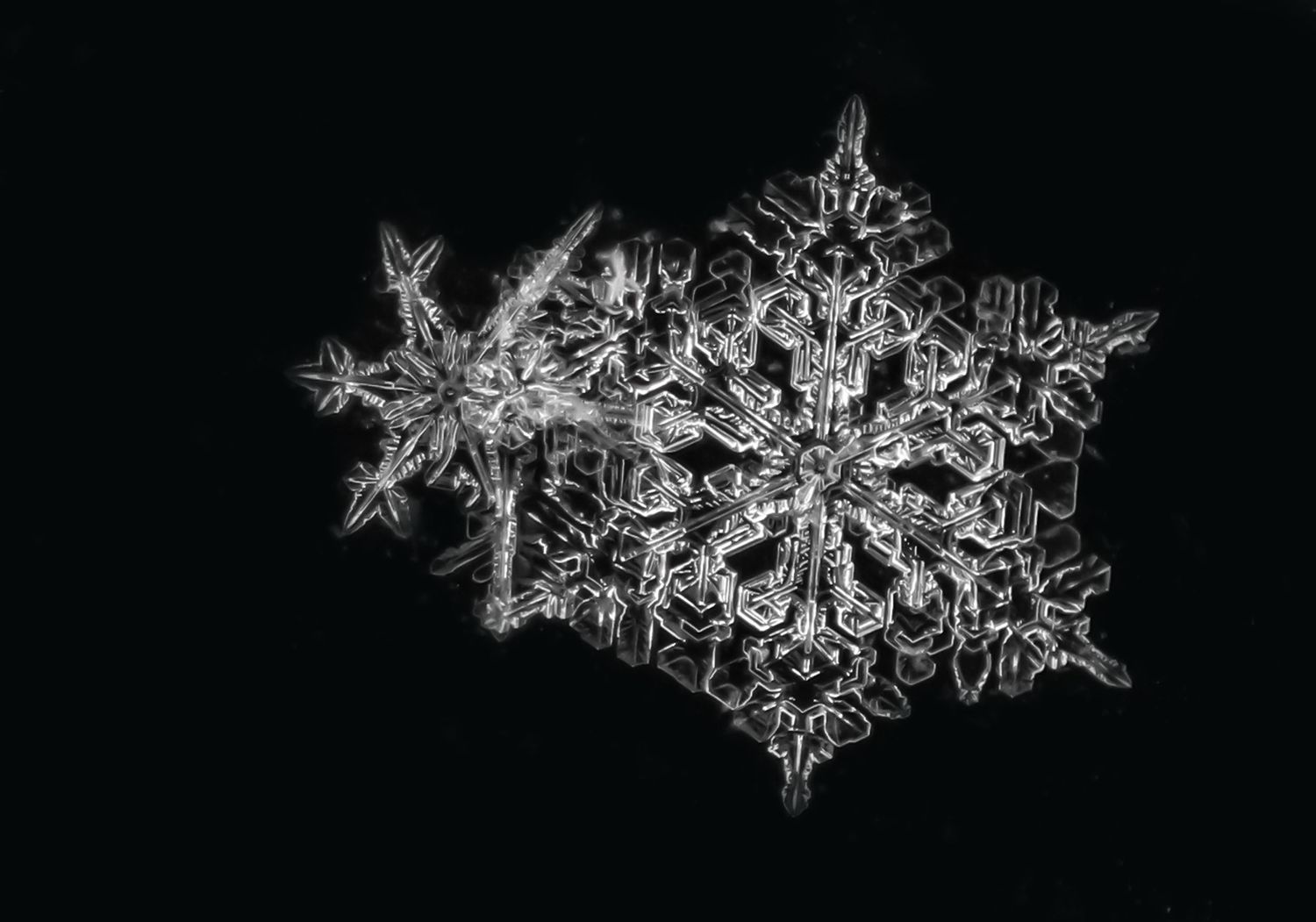 Macro Snowflake images