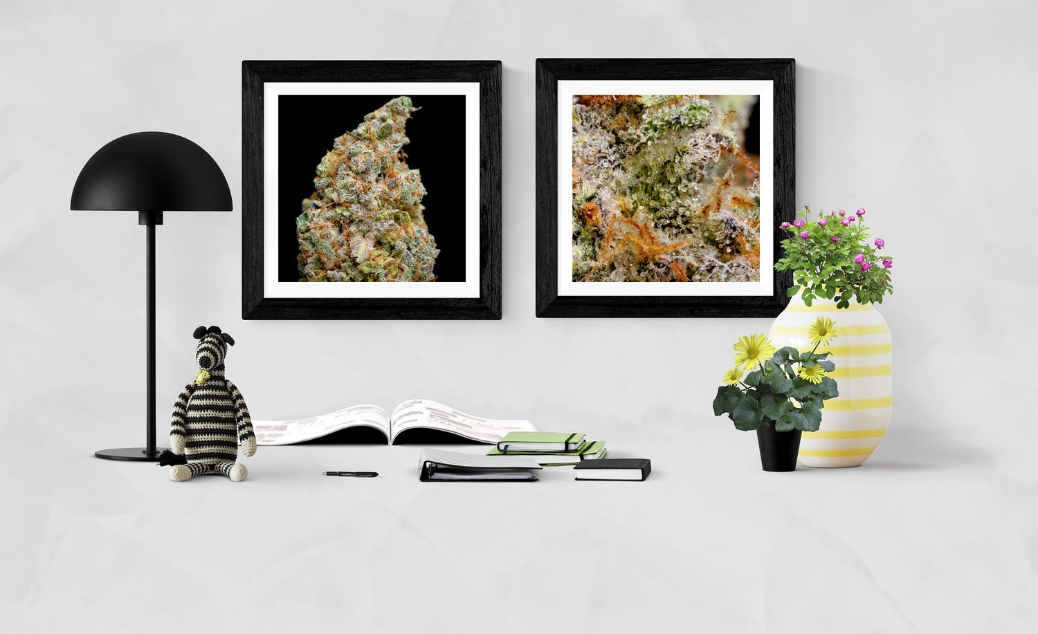 CannaPrints.ca - Fine Art Cannabis Prints. Elevating Modern Living Spaces