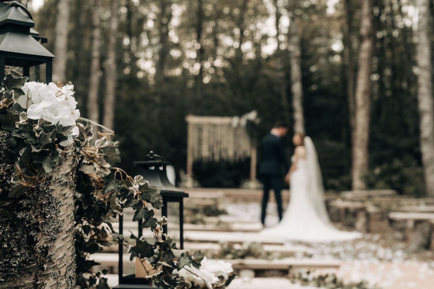 Artistic wedding photograph featuring a ceremony arch in a forest setting.