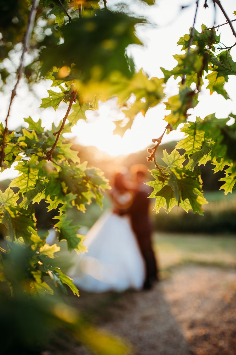 Creative wedding photo through maple leaves with couple silhouetted in golden sunlight.