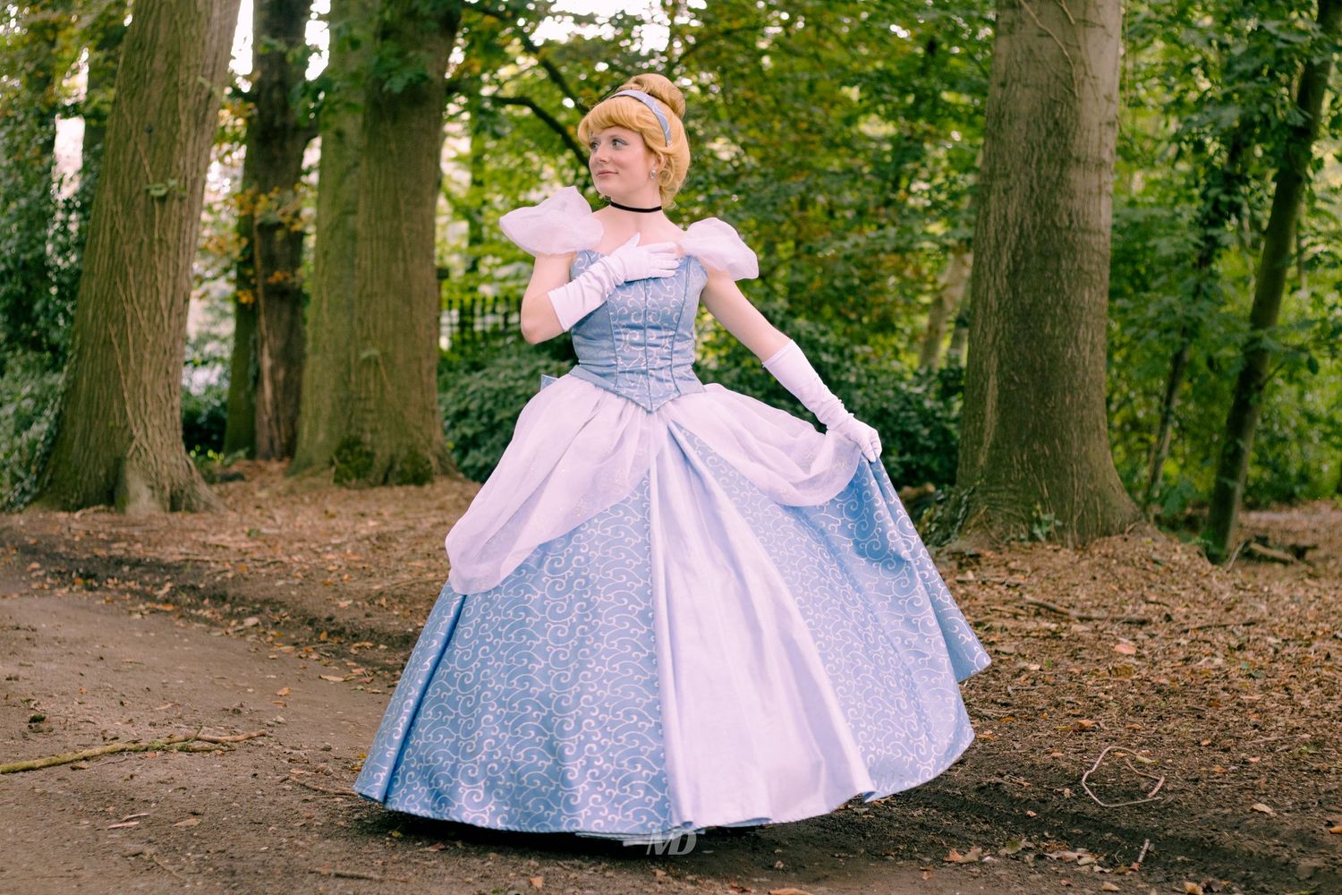 cinderella cosplay bos zeeland terneuzen