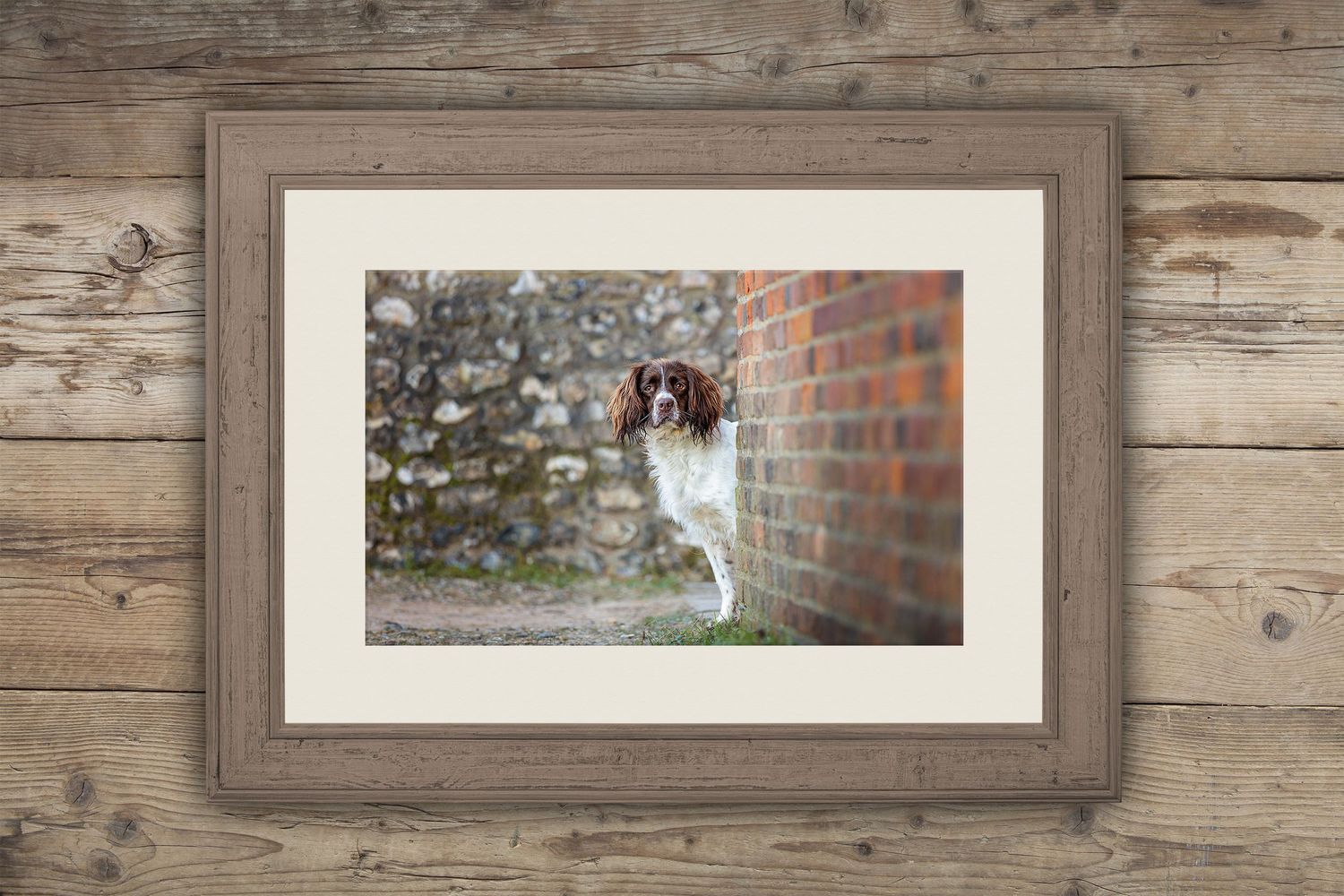 Spaniel dog sitting alertly by a brick wall in a framed photograph.